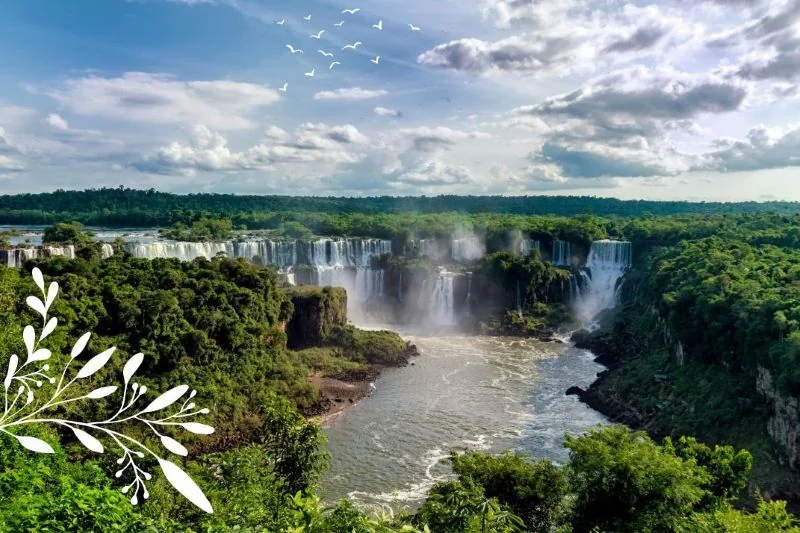 Tropical forest and the big Iguaçu waterfall. Blue sky with white clouds.