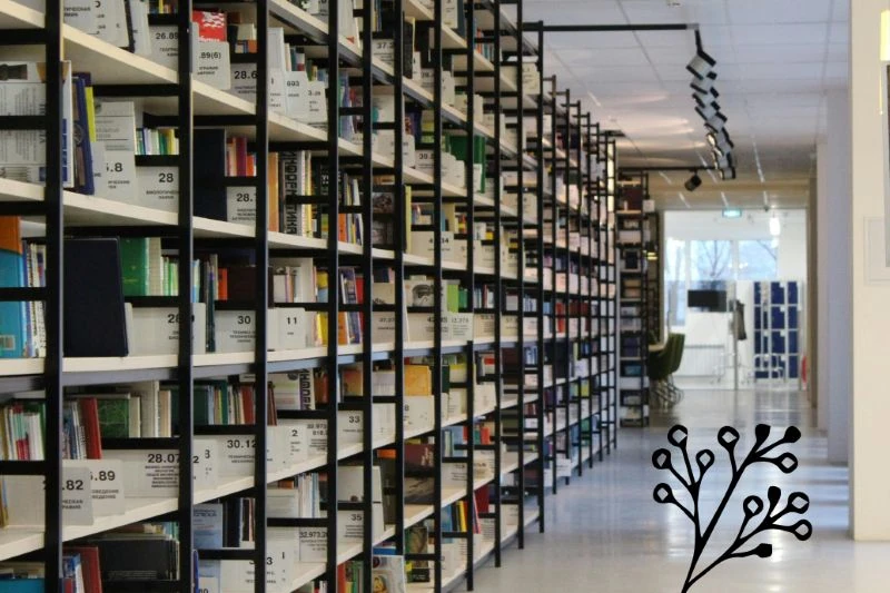 Large library bookshelf