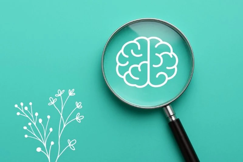 A magnifying glass displaying a drawing of a brain against a green background.