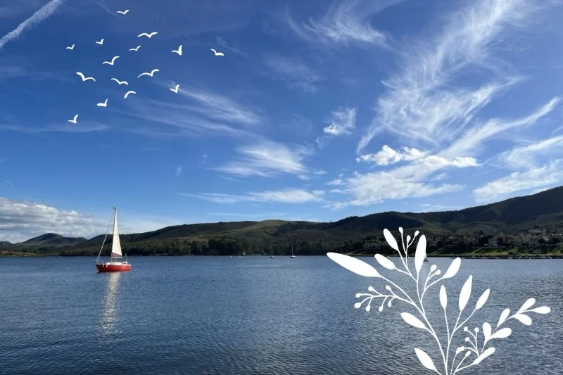 Little boat on the English lagoon in Alphaville on a sunny day with blue sky full of clouds.